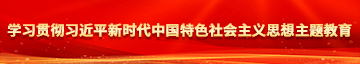 草逼草死我了学习贯彻习近平新时代中国特色社会主义思想主题教育